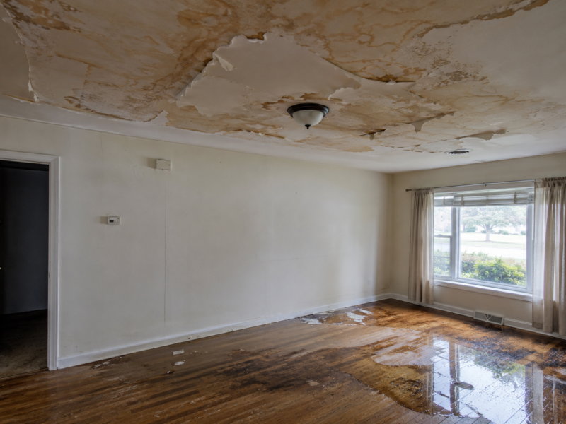 Water Damage at Home? The Complete Guide to Emergency Response and Full Restoration